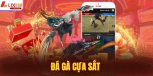 Đá Gà Cựa Sắt - Tìm Hiểu Về Hình Thức Chọi Kê Thú Vị 