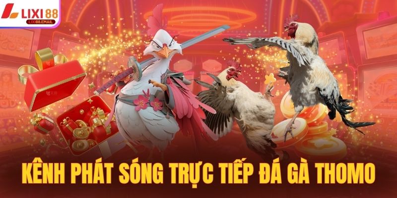 Kênh phát sóng trực tiếp đá gà Thomo uy tín