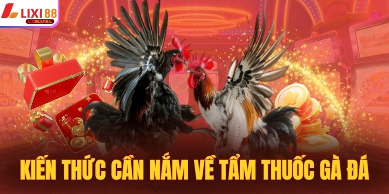 Kiến thức cần nắm về tẩm thuốc gà đá hiệu quả