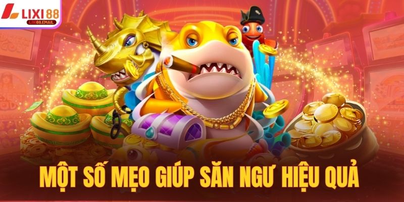 Một số mẹo giúp săn ngư hiệu quả