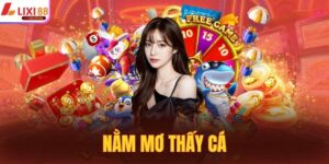 Nằm Mơ Thấy Cá - Giải Mã Giấc Mơ Về Cá Trong Cuộc Sống 