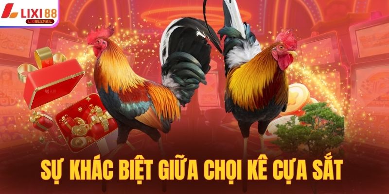Sự khác biệt giữa chọi kê cựa sắt với phần còn lại