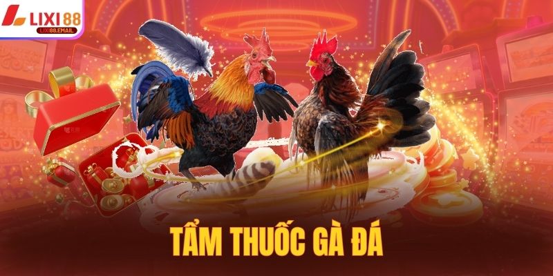 Tẩm Thuốc Gà Đá - Tìm Hiểu Về Phương Pháp Tẩm Thuốc