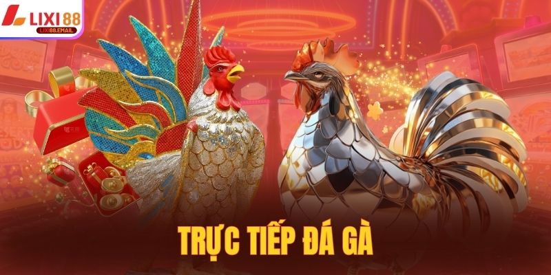 Trực Tiếp Đá Gà - Hình Thức Phát Sóng Trận Đấu Kê