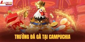 Trường Đá Gà Tại Campuchia Nổi Tiếng Thu Hút Người Xem