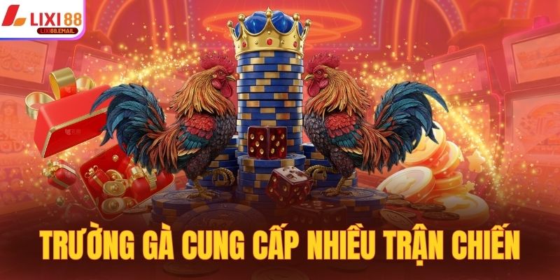 Trường đá gà tại Campuchia cung cấp nhiều trận chiến 